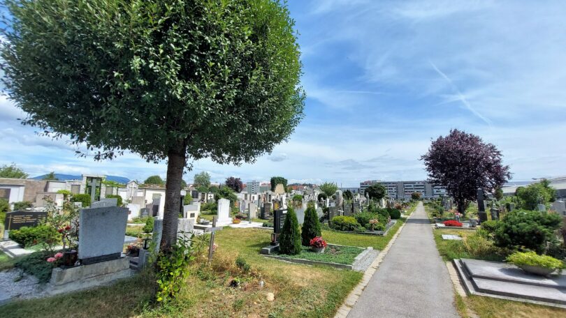 Friedhof mit vielen Gräbern und Bäumen