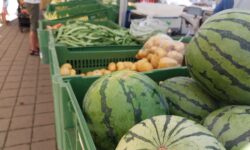 Markt Sankt Peter, steirische Wassermelonen und saisonales Gemüse am Marktstand