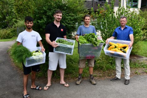 4 Männer halten Boxen mit verschiedenem Gemüse in den Händen