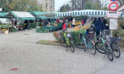 Überblick Bauernmarkt Wetzelsdorf, einige Fahrräder bei der Zufahrt, einige Besucher stehen bei den Marktständen,große grün-weiße Schirme