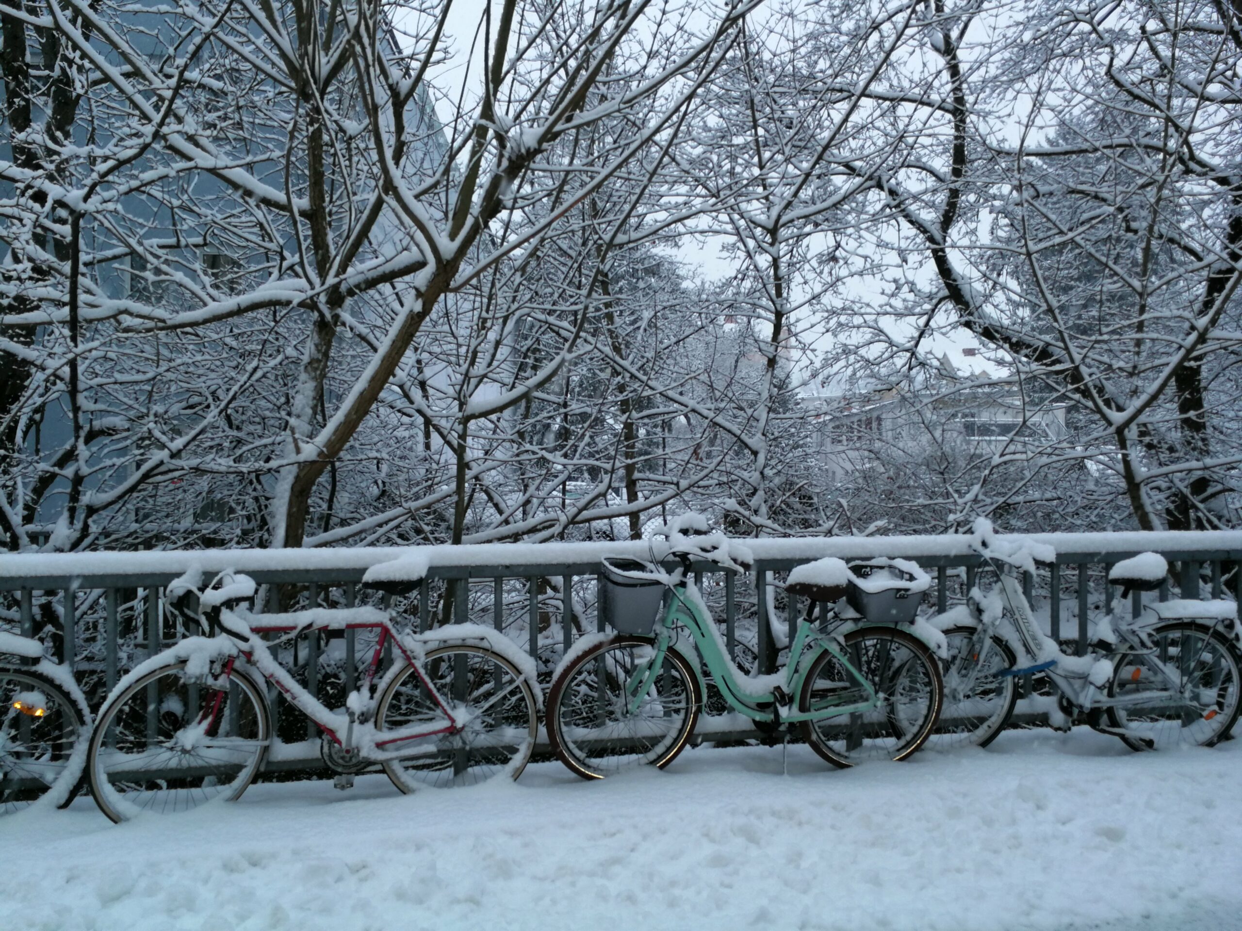 Sicherheit: Mit dem Fahrrad durch den Winter - Wissen