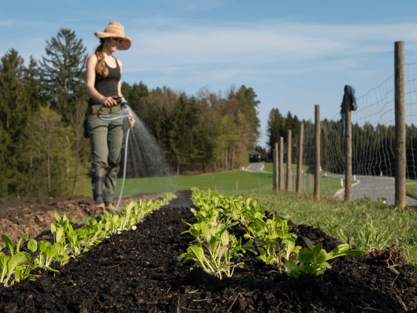 Nina gießt den Asiasalat mit einem Schlauch