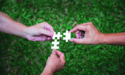 3 Hände über einer Wiese, die jeweils 1 weißes Puzzlestück zueinander führen