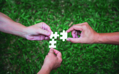 3 Hände über einer Wiese, die jeweils 1 weißes Puzzlestück zueinander führen
