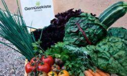 Gemüsekiste LebensGroß mit Karotten, Mangold, Tomaten, Schnittlauch, Petersilie, Zucchini.