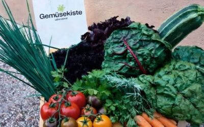 Gemüsekiste LebensGroß mit Karotten, Mangold, Tomaten, Schnittlauch, Petersilie, Zucchini.