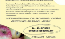 APFEL-KULINARIUM beim Streuobst-Kompetenzzentrum Burgauberg: Am 24. und 25. Oktober: GROSSER HERBSTMARKT: Apfelmarkt, Kulinarik, Kunsthandwerk, Kinderprogramm u.v.m.